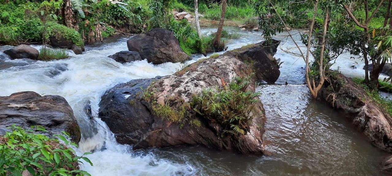 Linn View Home Stay Munnar Rum bild