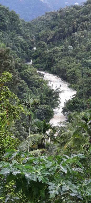 Linn View Home Stay Munnar Exteriör bild